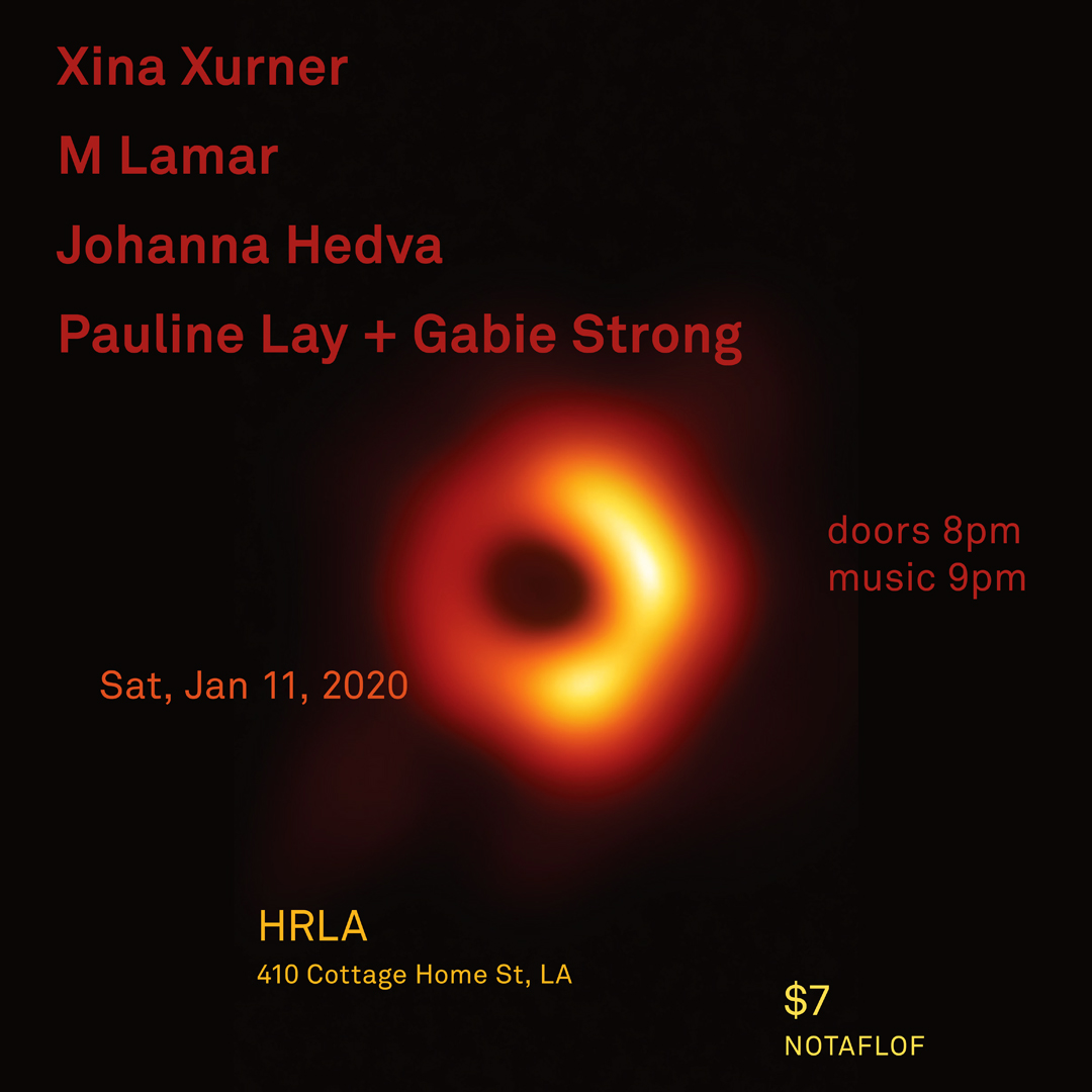 jan 11 flyer