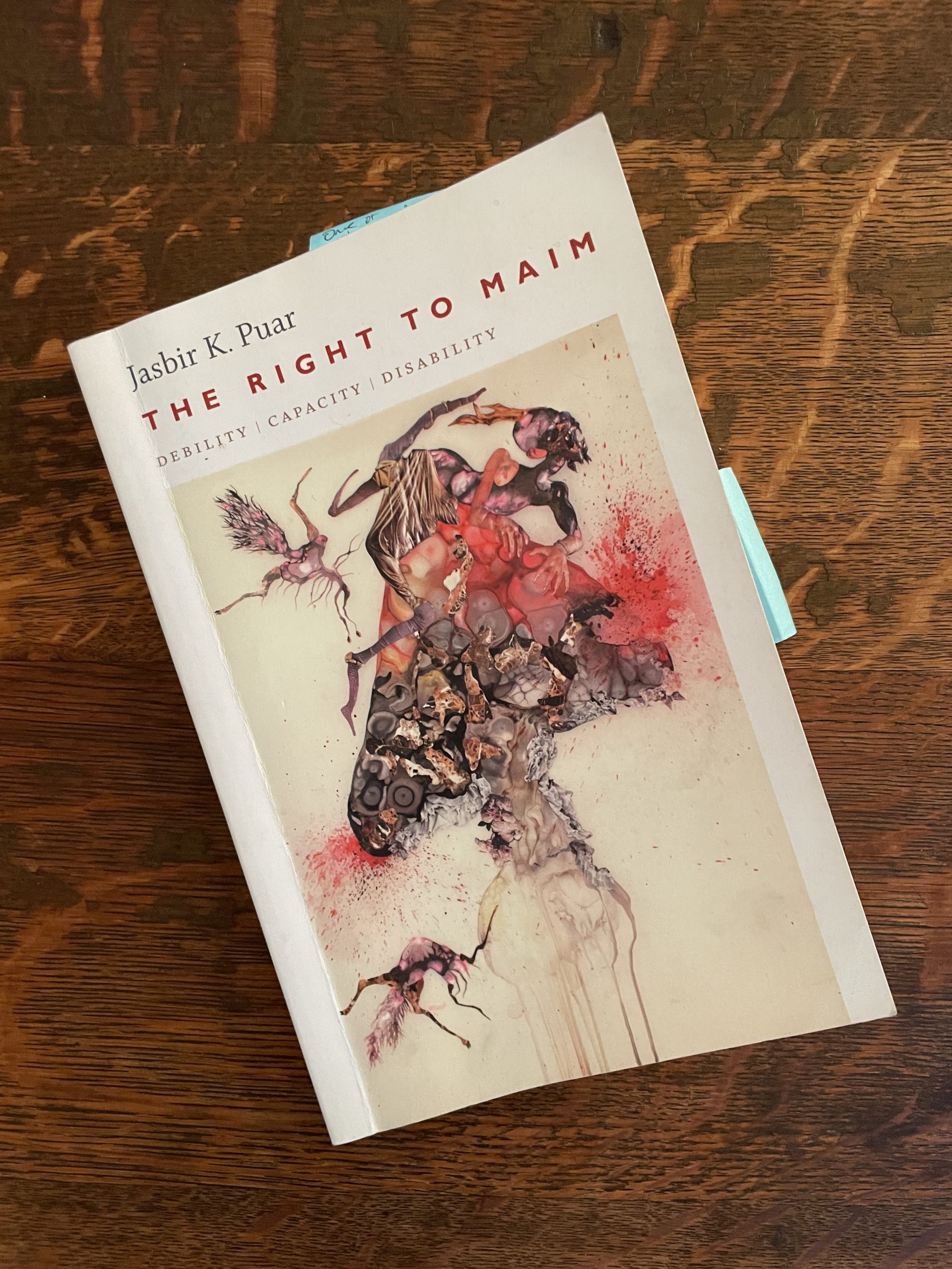 A snapshop of the cover of Jasbir Puar's book The Right to Maim.